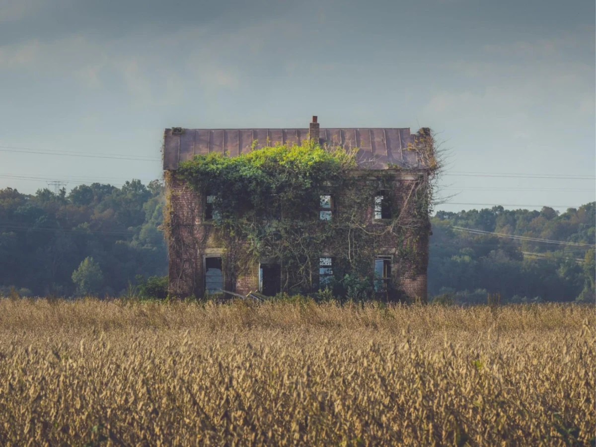 Imagen de Cocinas bajo asedio (III): sembrar entre ruinas