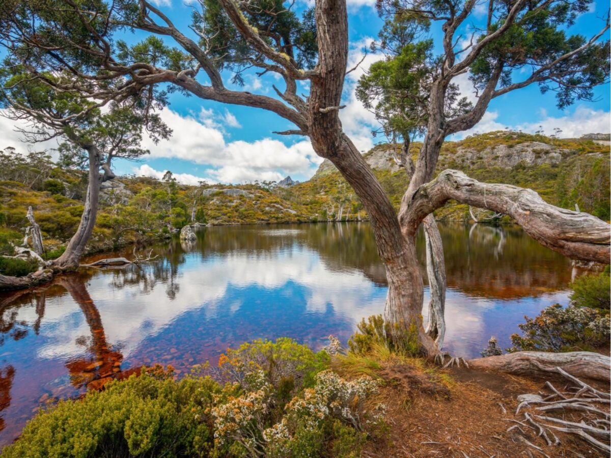 Imagen de Viaje a Tasmania: el destino gastronómico secreto de Australia
