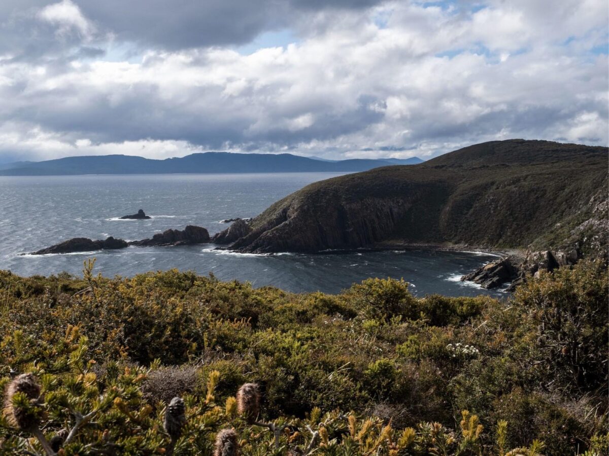 Imagen de Viaje a Tasmania: el destino gastronómico secreto de Australia