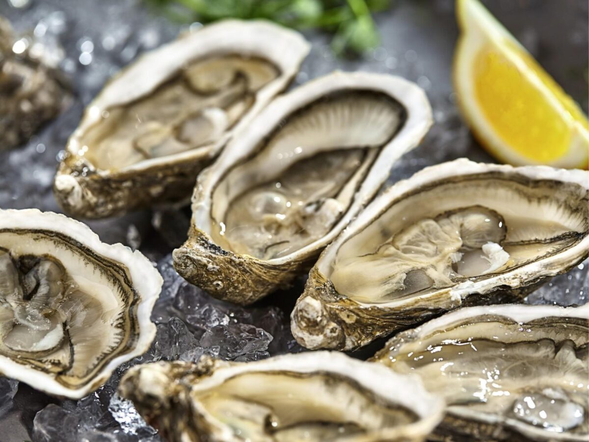 Imagen de Viaje a Tasmania: el destino gastronómico secreto de Australia