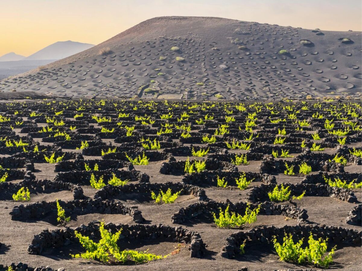Imagen de Viajar cuando baja la marea: 20 destinos que combaten la estacionalidad turística con buena mesa
