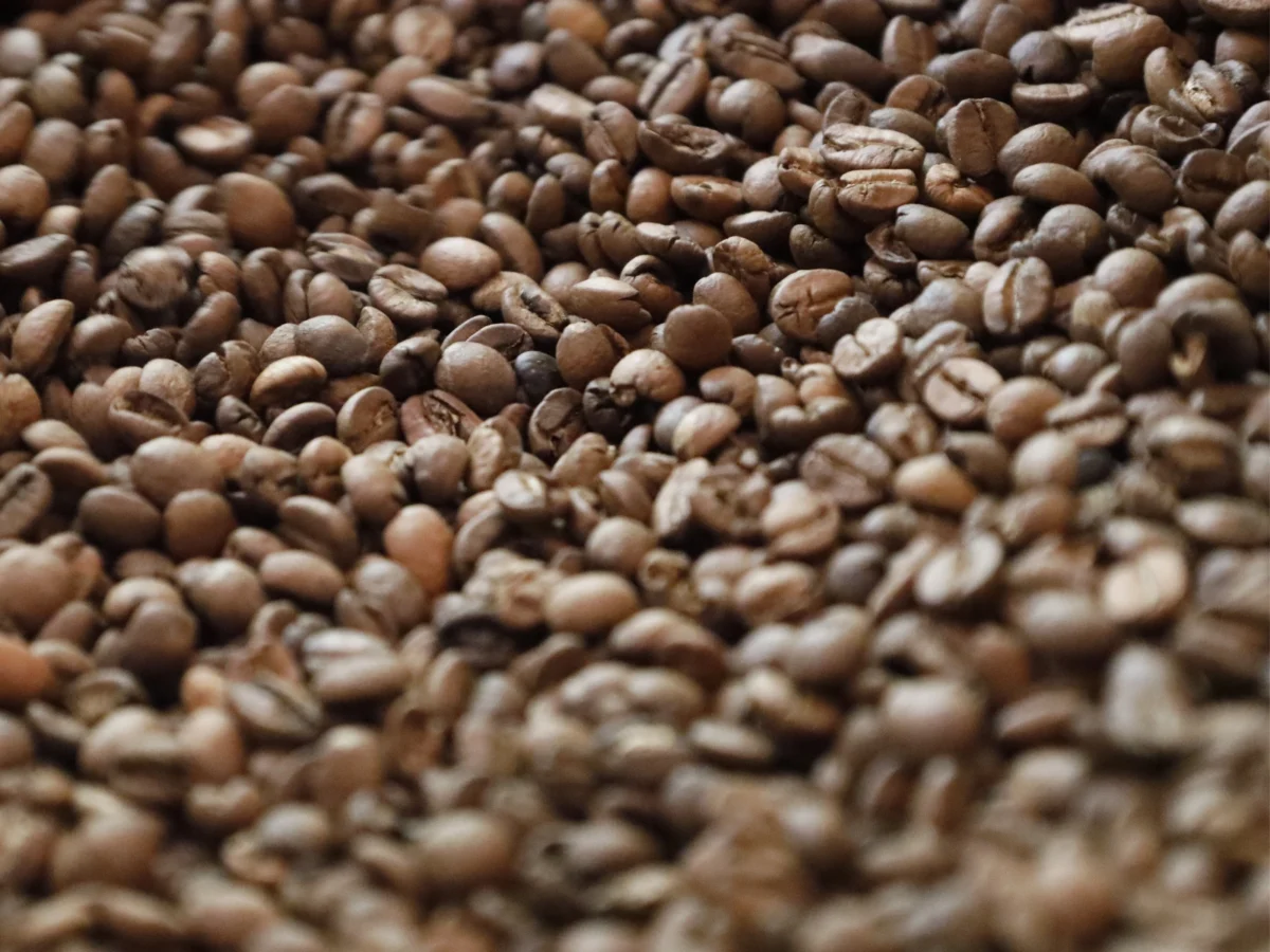 Imagen de Agaete convierte su café en una experiencia turística única en Gran Canaria