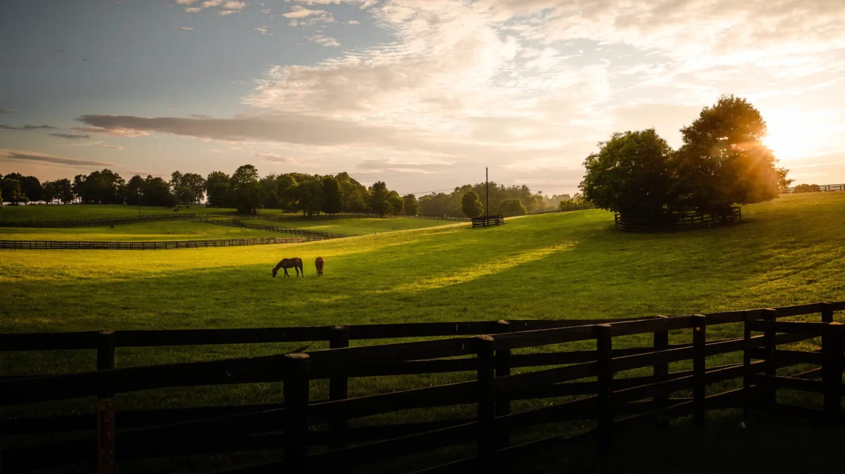 Imagen de Ruta del bourbon de Kentucky: cultura, historia y patrimonio de EE. UU.
