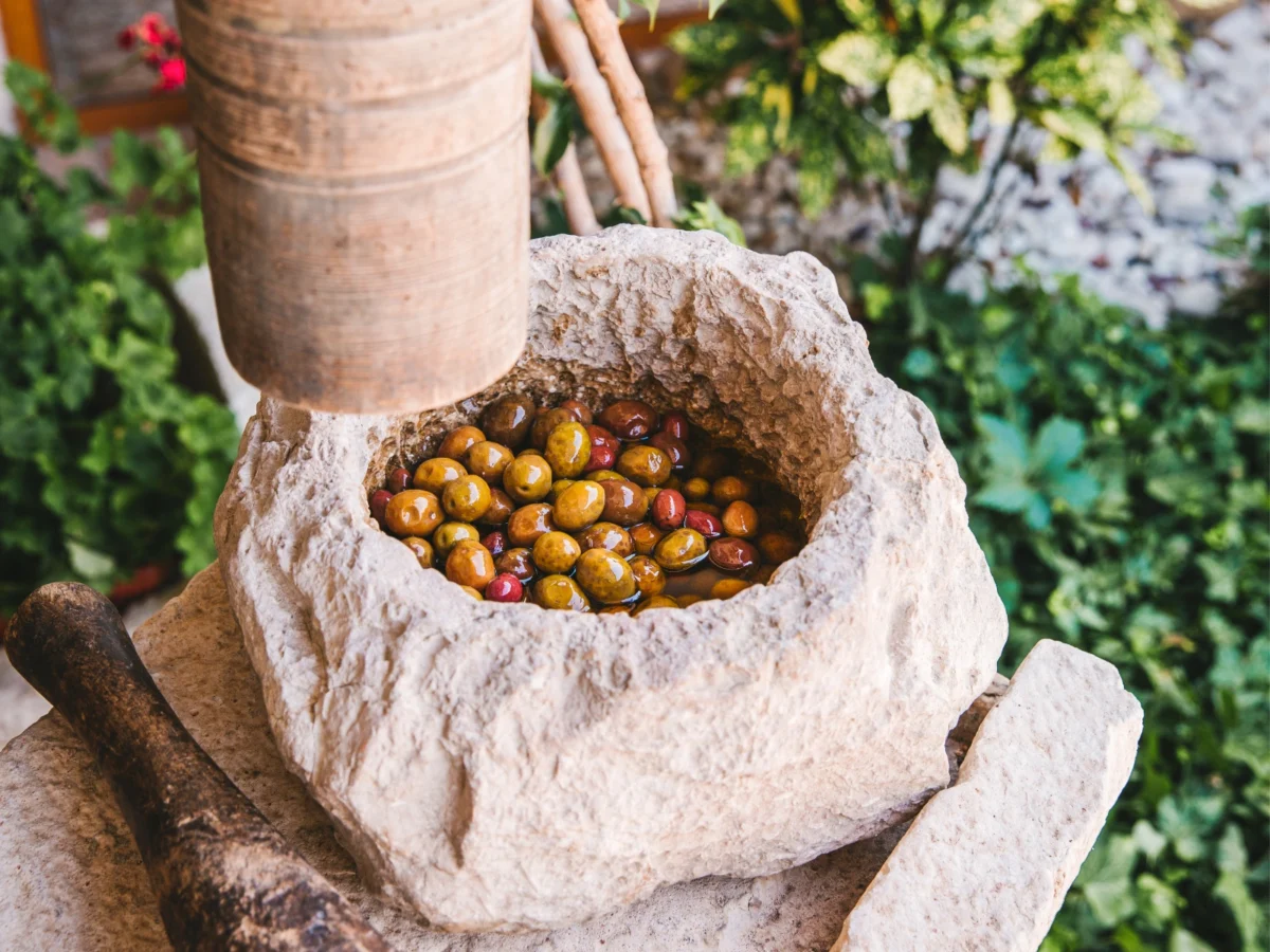 Imagen de Kvarner, Región Europea de la Gastronomía 2026: del Adriático a los bosques de montaña