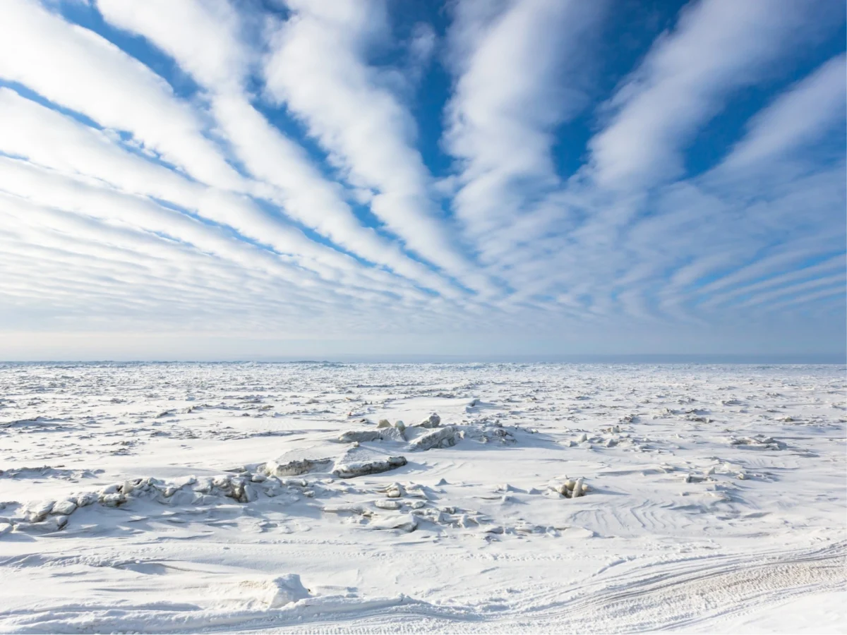 Imagen de Atlas de cocinas amenazadas (I): Cuando el hielo deja de alimentar a los inuit