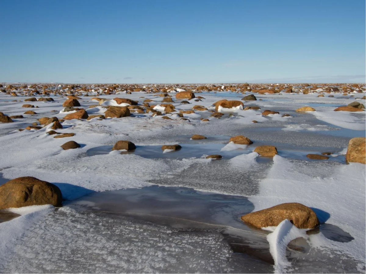 Imagen de Atlas de cocinas amenazadas (I): Cuando el hielo deja de alimentar a los inuit