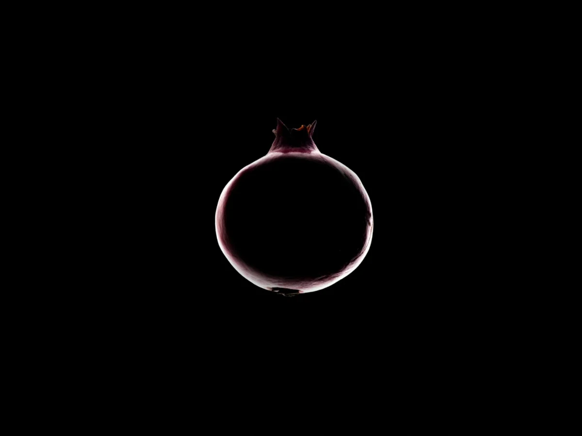 Imagen de Eclipse total: ¿qué comeríamos en un mundo sin luz solar? 5 Imagen de Eclipse total: ¿qué comeríamos en un mundo sin luz solar?