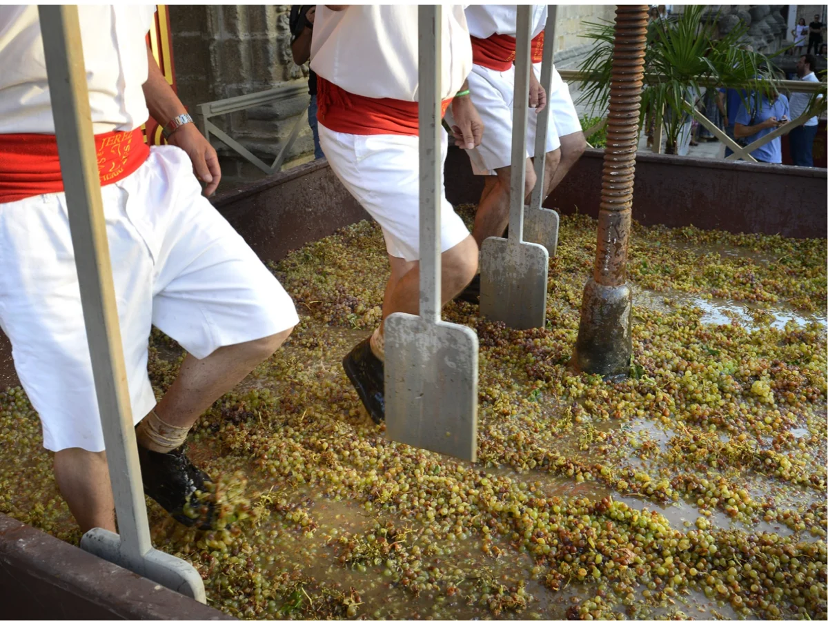 Imagen de Jerez y el nacimiento del vino: un rito de casi tres mil años