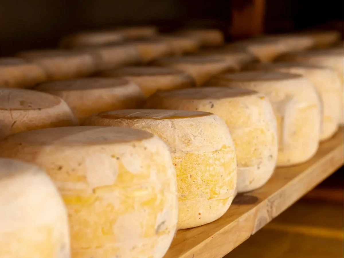 Imagen de Kokumi: el sabor que no sabe a nada y hace que todo sepa más