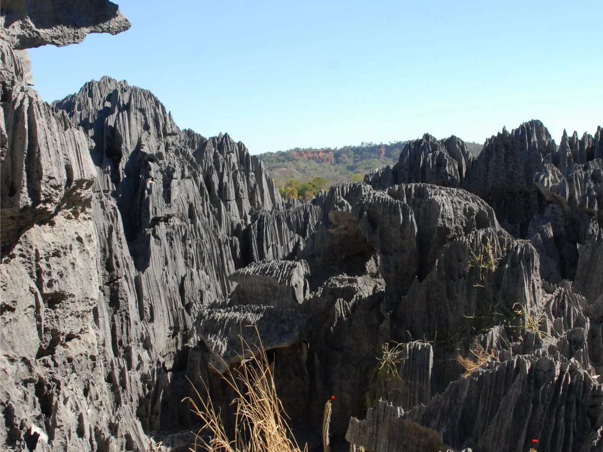 Imagen de Madagascar: un viaje entre lémures, baobabs y sabores inesperados